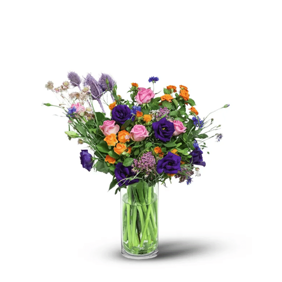 Aquarius: Caring Heart