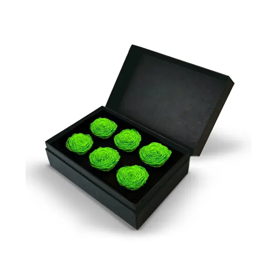 6 Green Eternal Roses