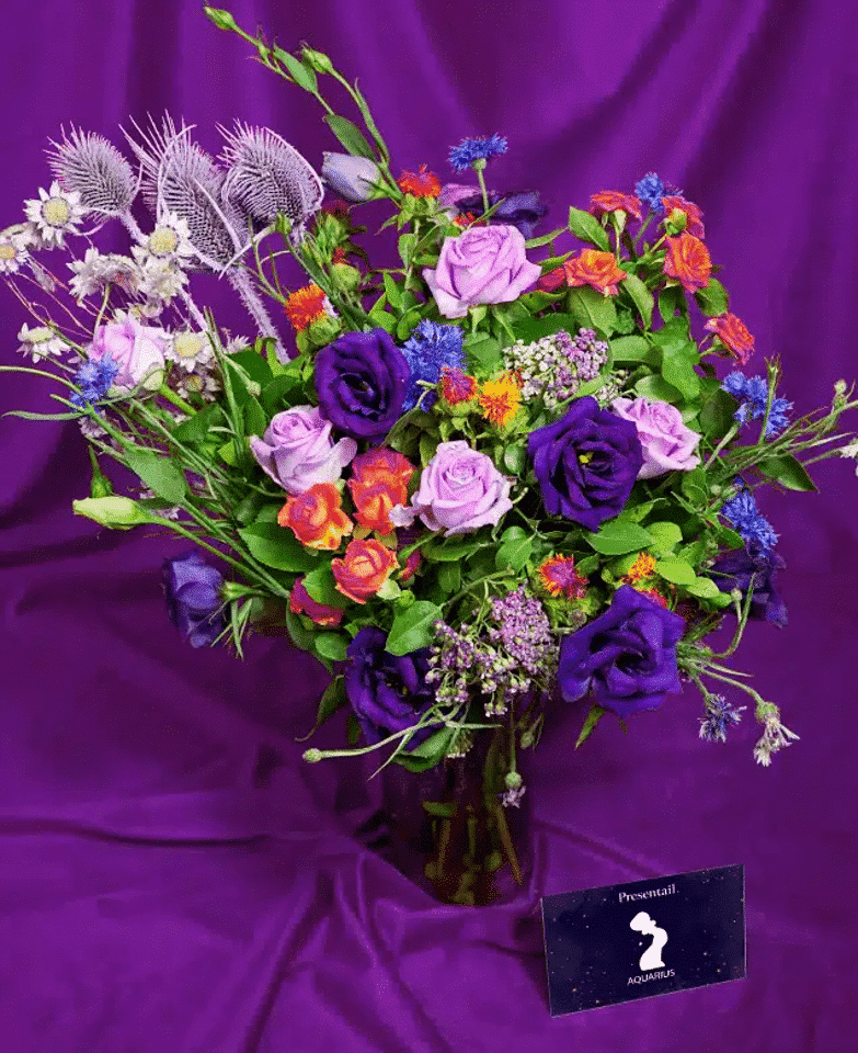 Aquarius: Caring Heart - Image 2