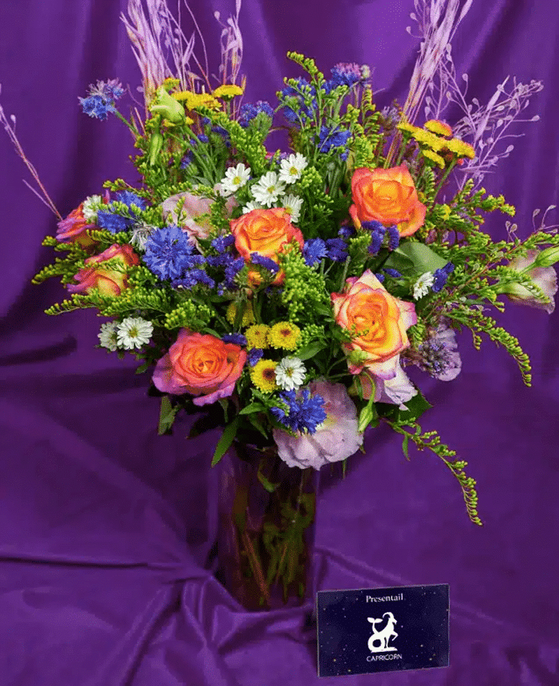 Capricorn: Smart Art - الصورة 2