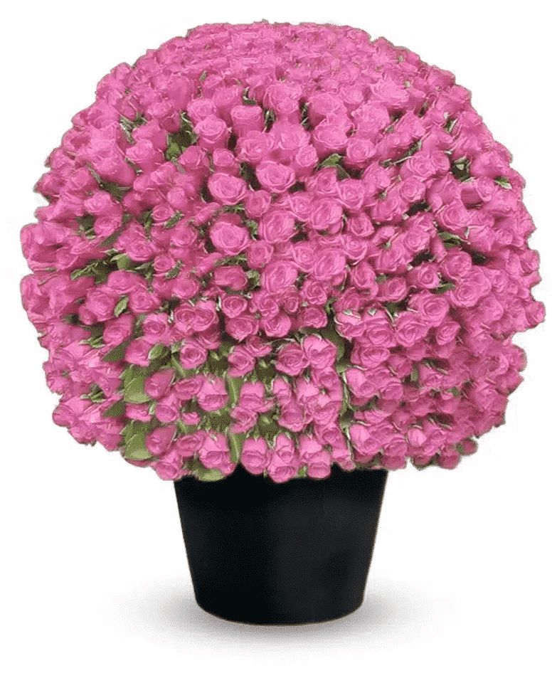 باقة 1000 وردة وردية اللون الوردي