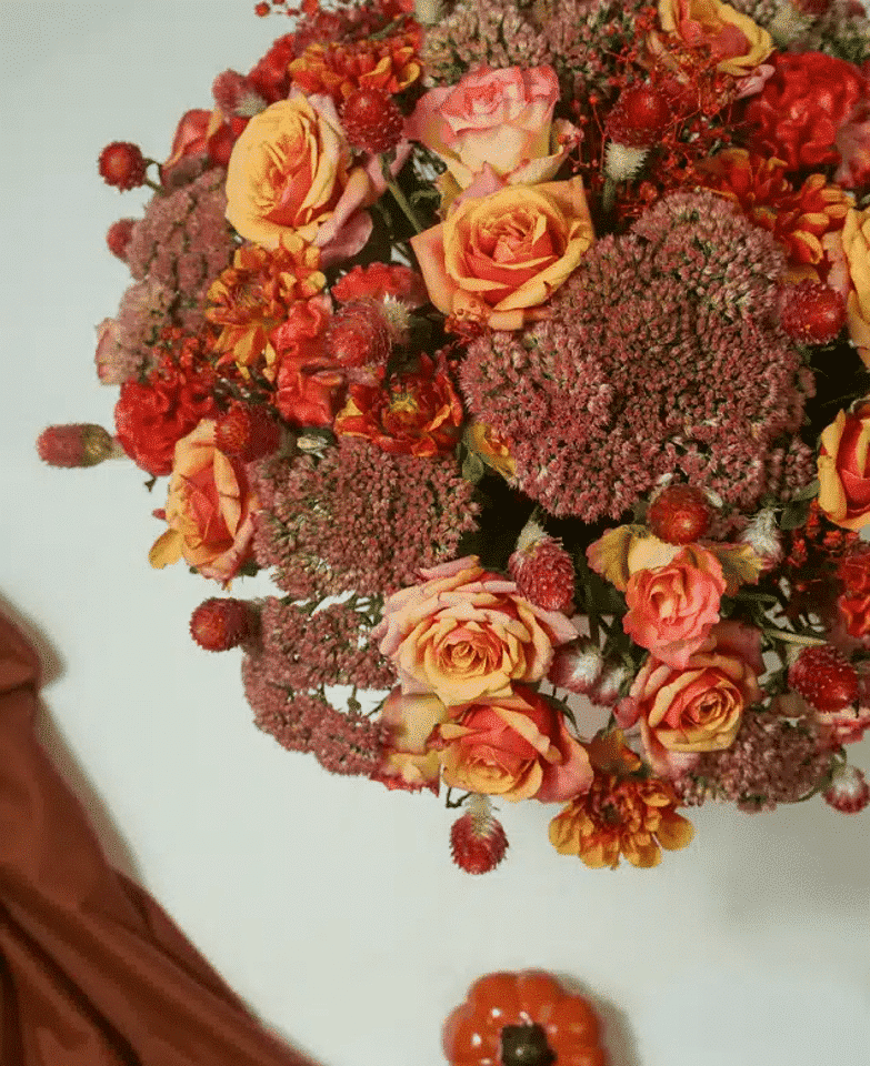 November Rain - Image 2