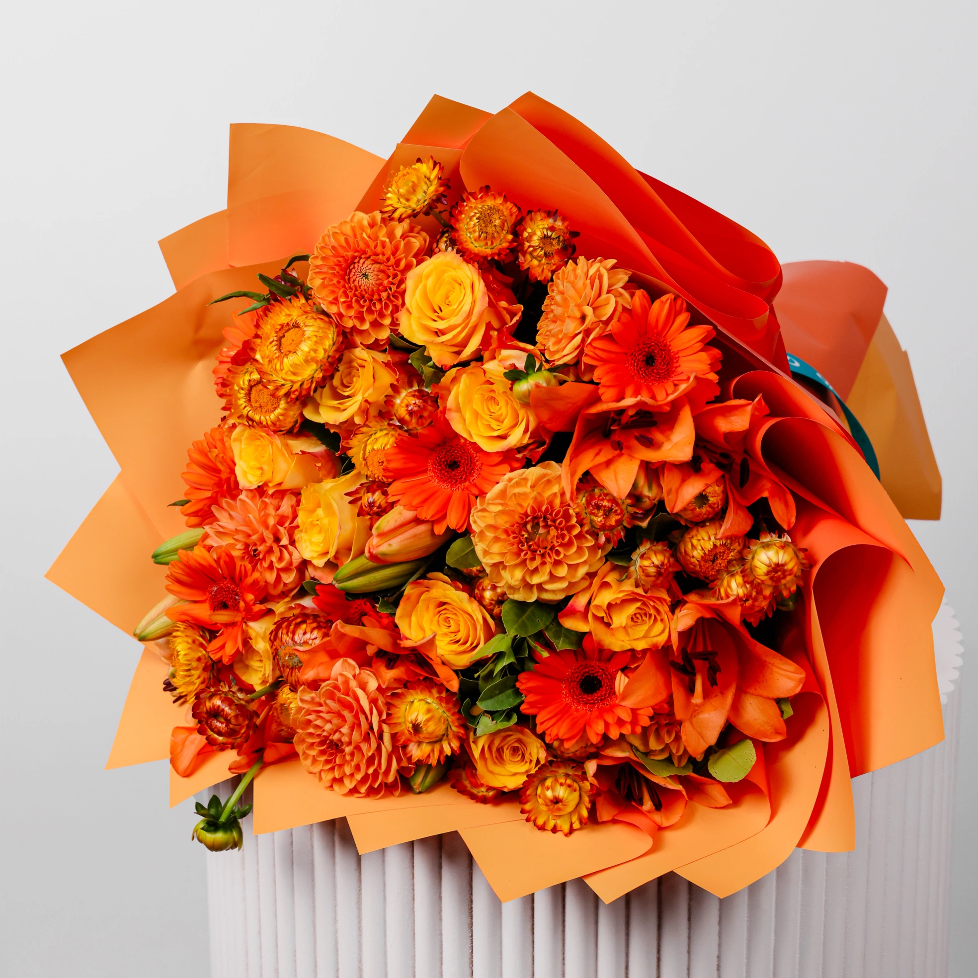 Charming Orange - Image 2