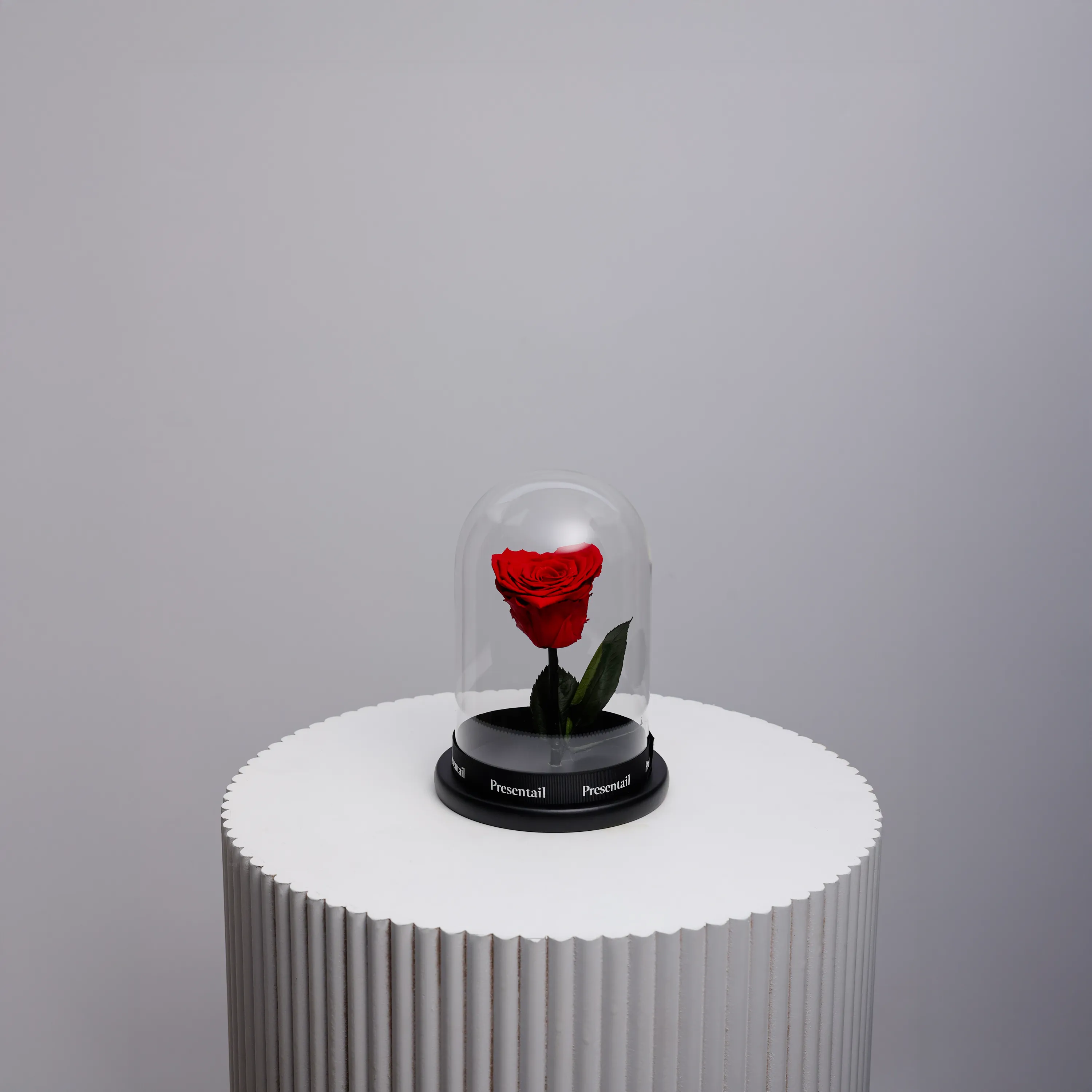 Heart-Shaped Eternal Rose