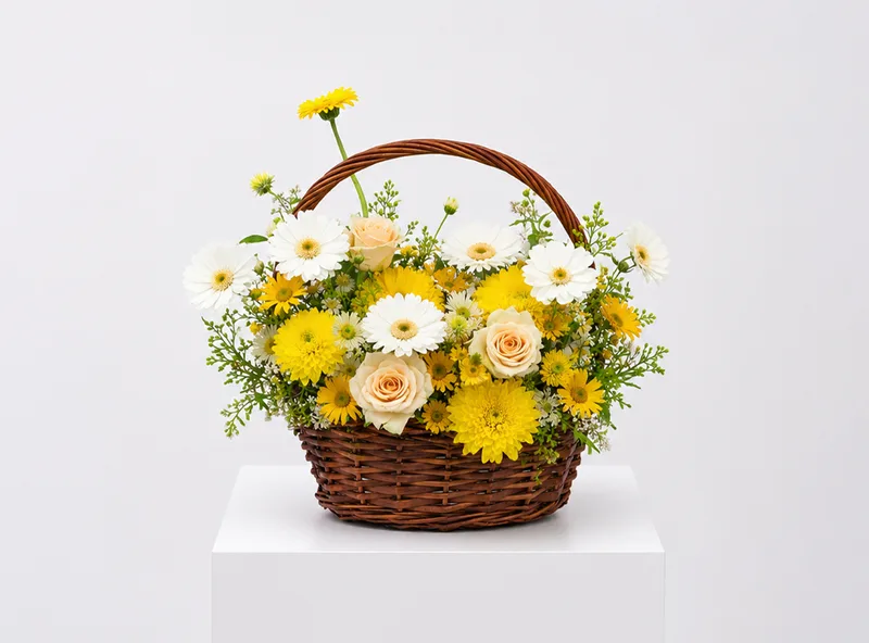 Summer Daisy Garden — flower & gift delivery