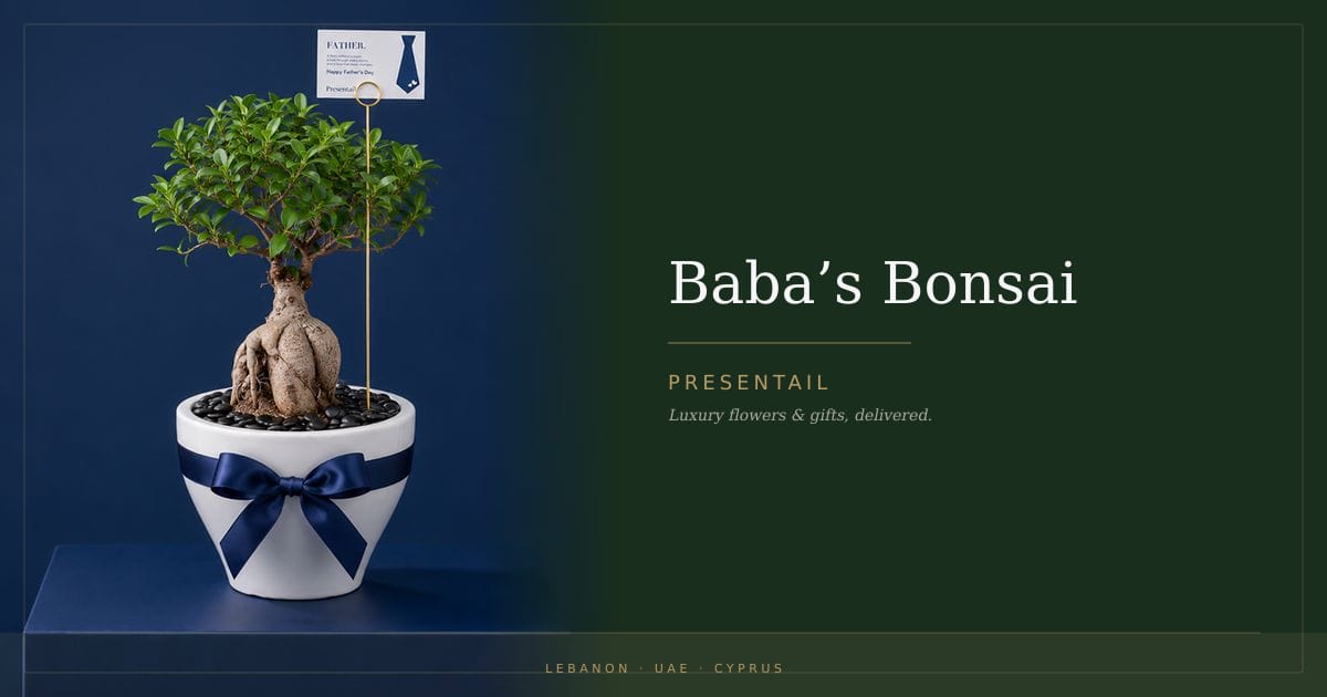 Baba’s Bonsai