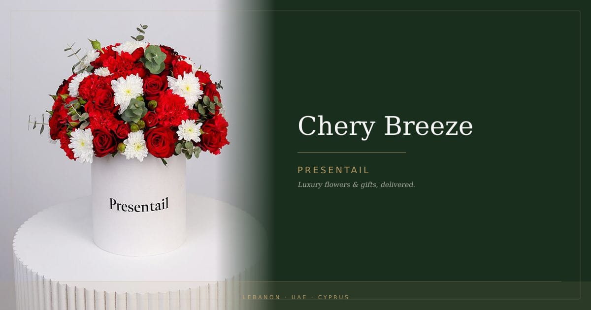 Chery Breeze