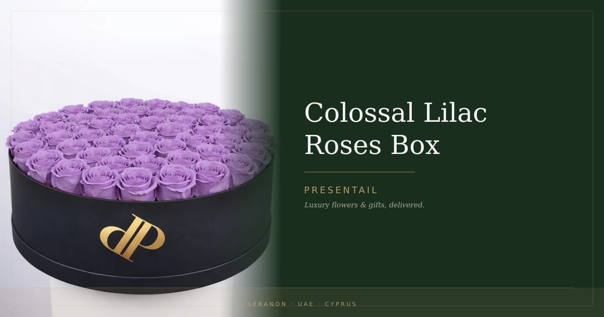 Colossal Lilac Roses Box