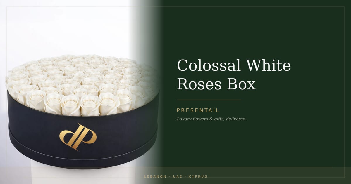 Colossal White Roses Box