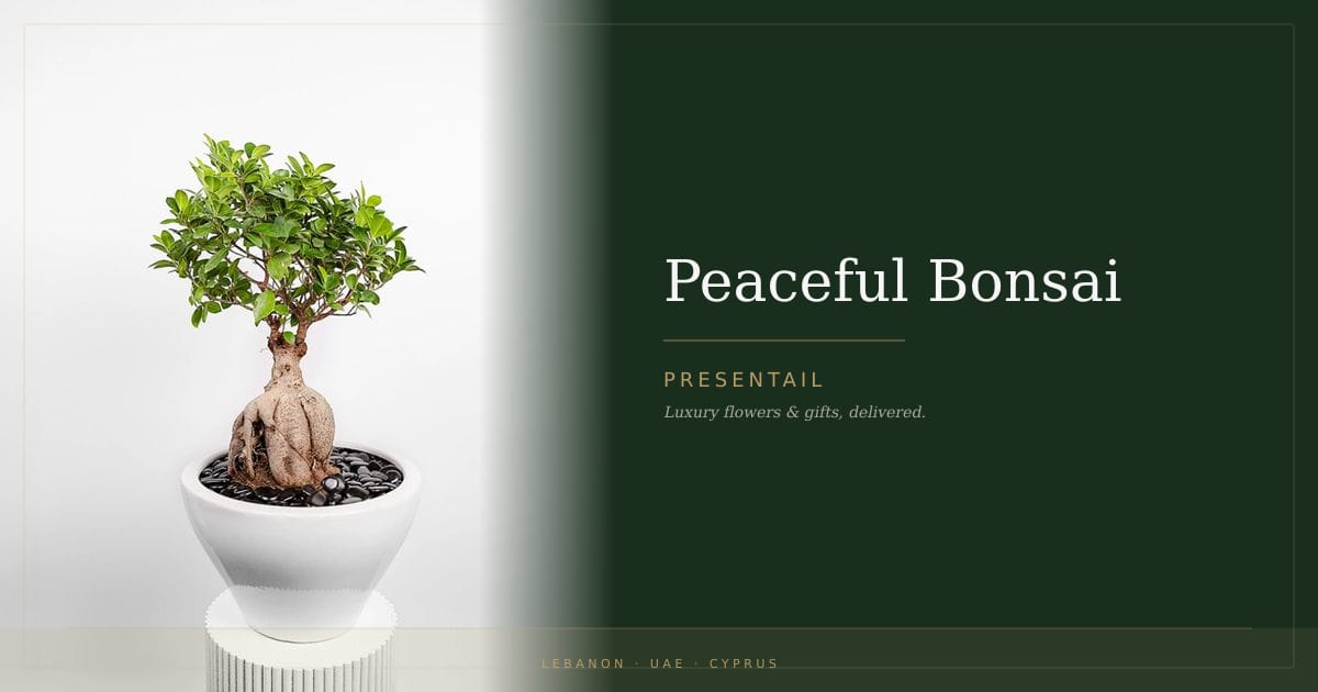 Peaceful Bonsai