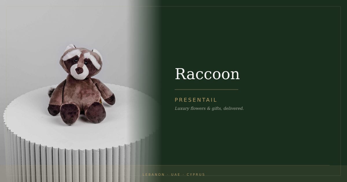 Raccoon
