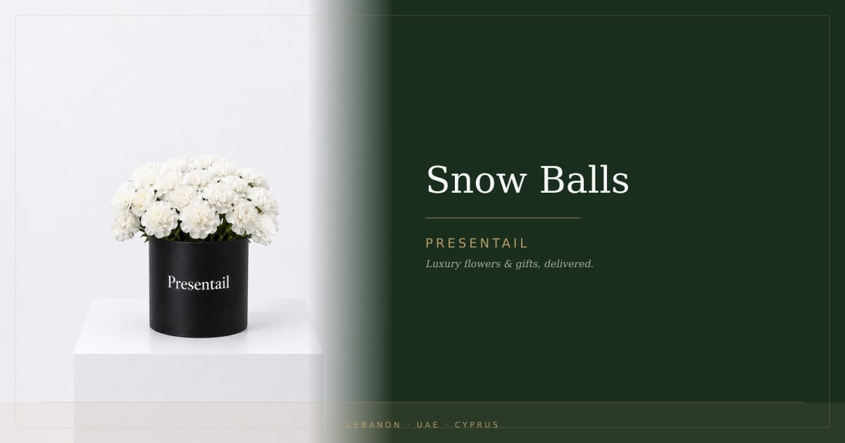 Snow Balls