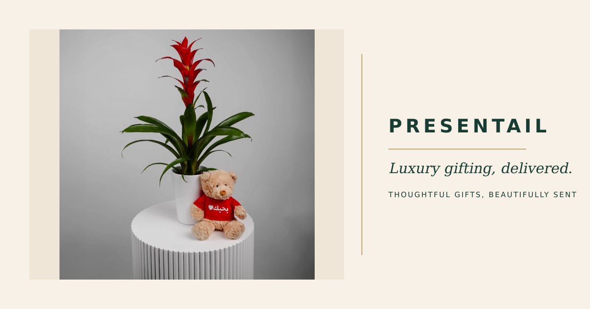 The Love Guzmania
