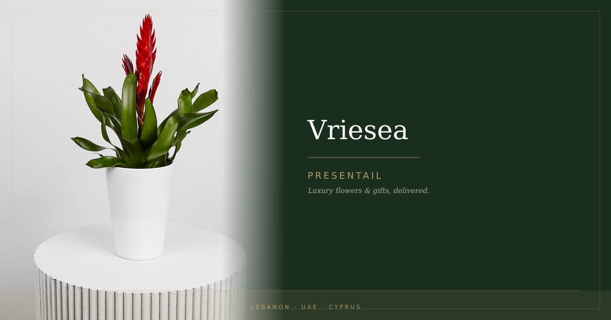 Vriesea