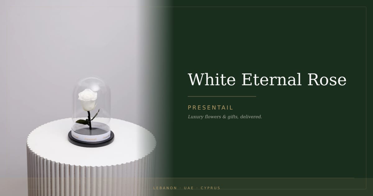 White Eternal Rose