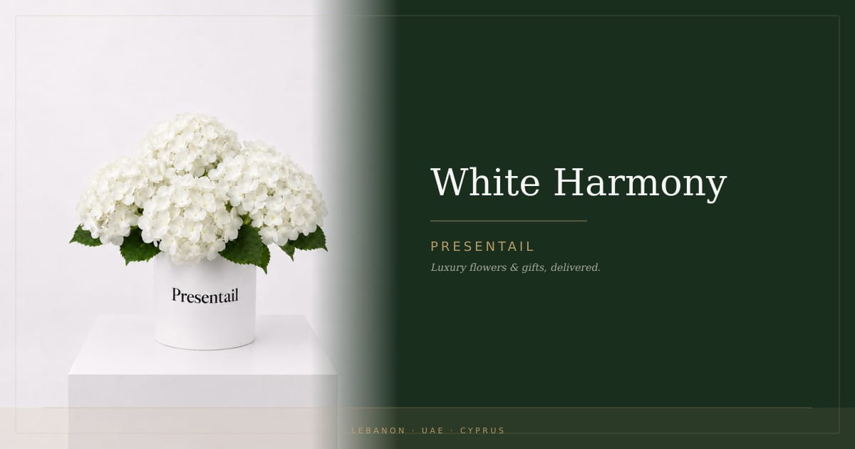 White Harmony