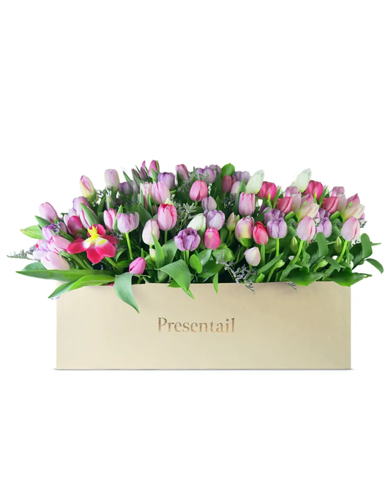 Tulip Treasures