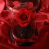 ⁦الوردة الخالدة⁩ - الصورة ⁦2⁩