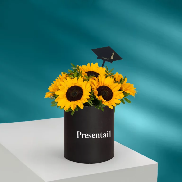 Graduation.webp