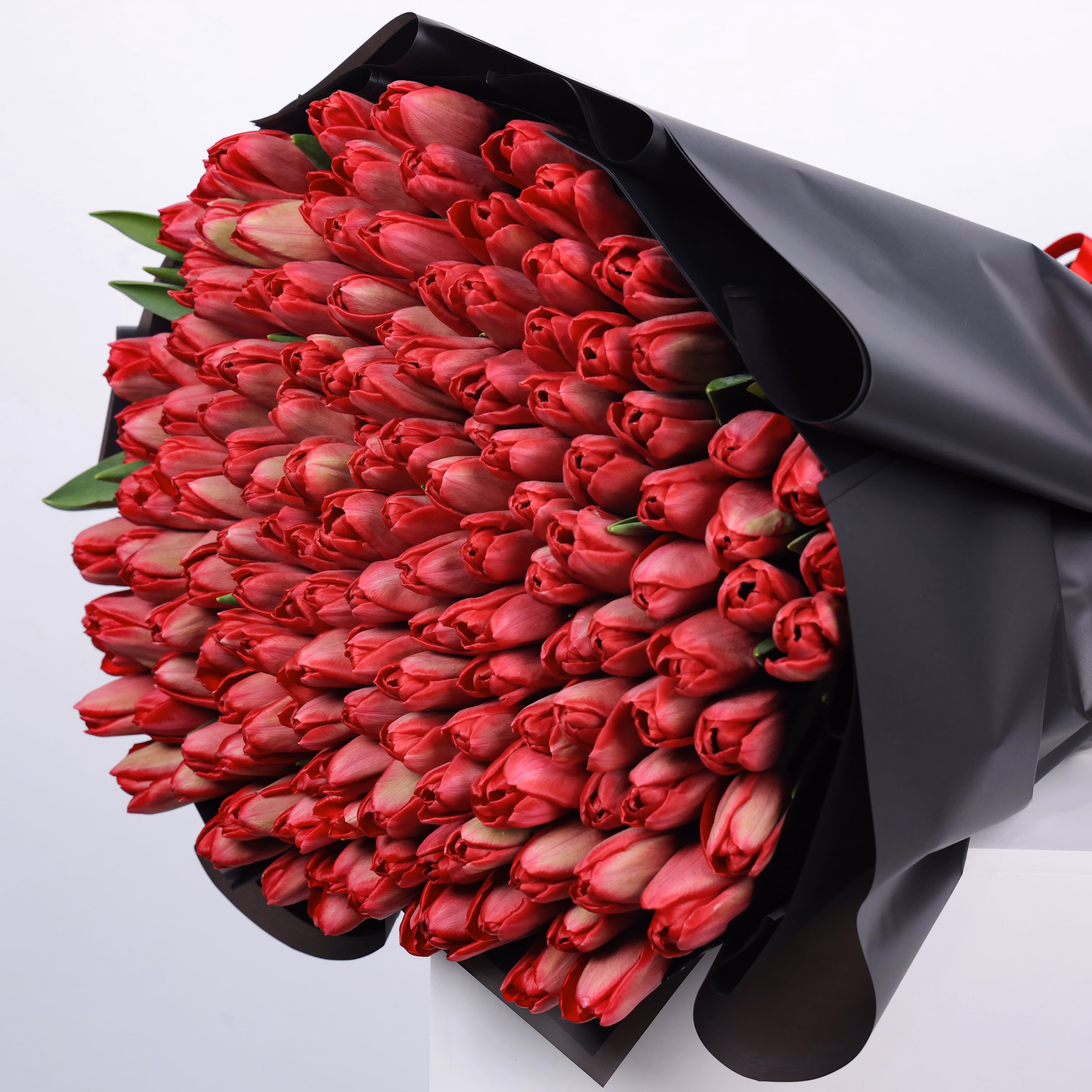 150 Forever Tulips - Image 2