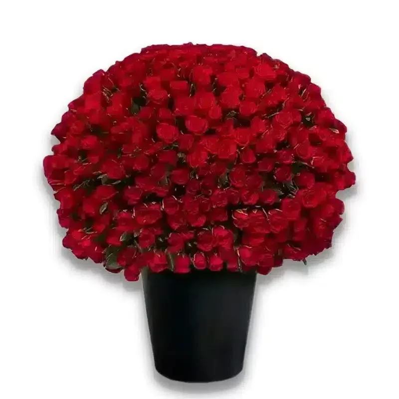 1000 Red Roses Arrangement
