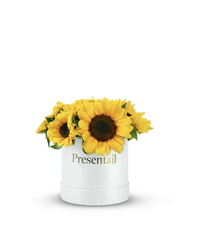 Medium Sunflower Box - Image 2