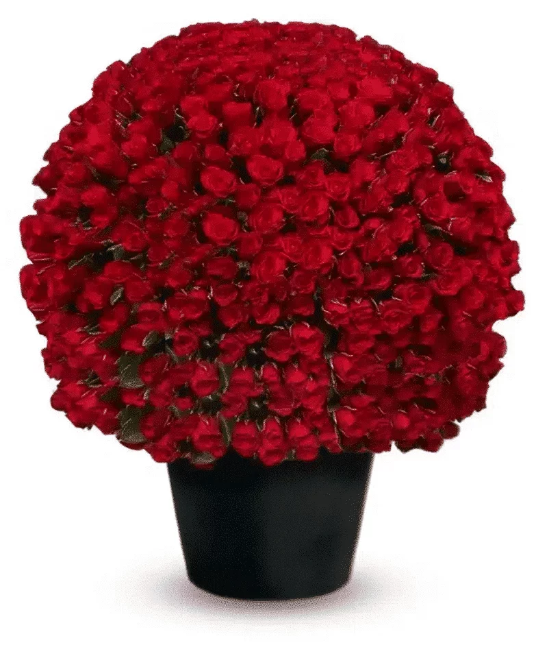 باقة 1000 وردة حمراء