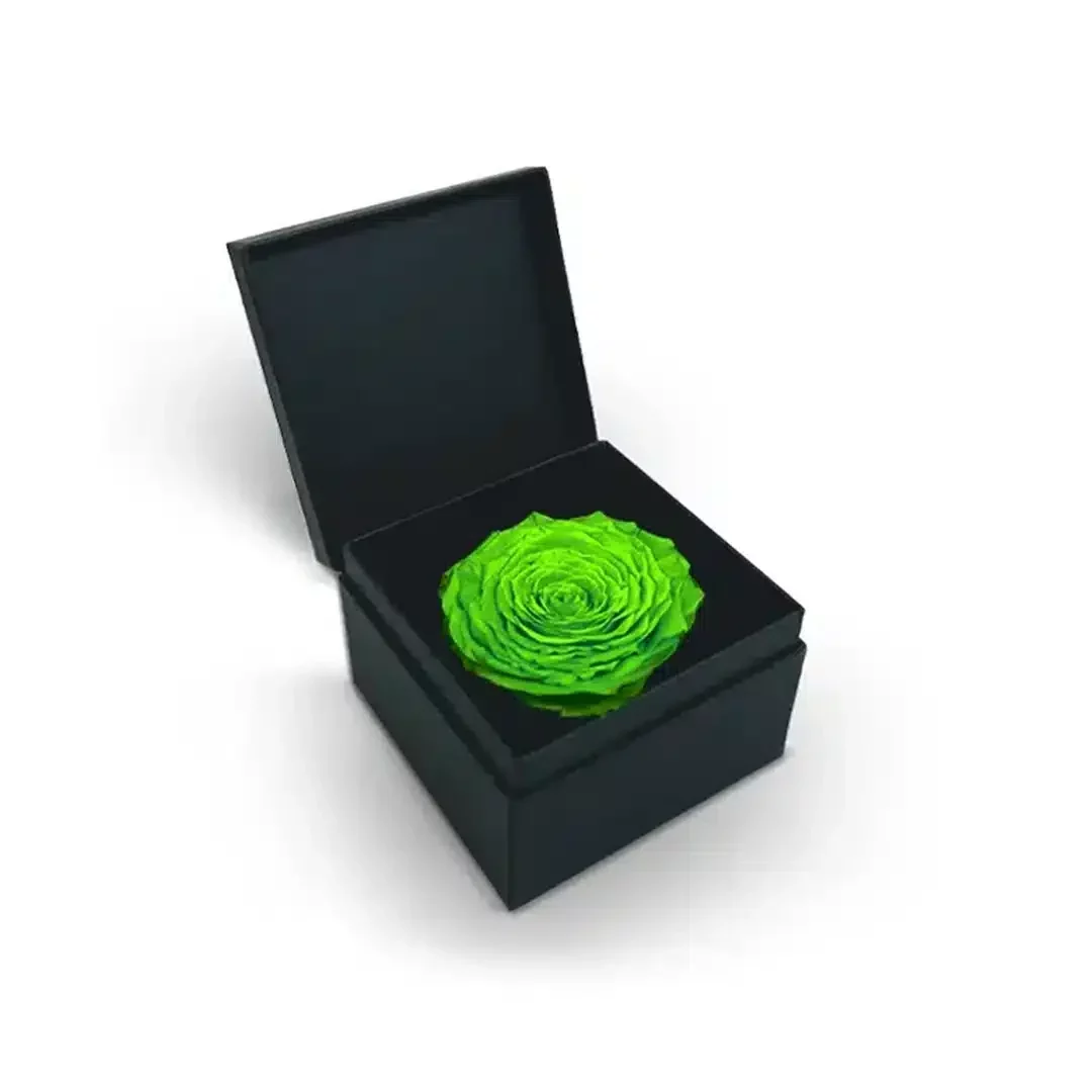 Single Green Eternal Rose