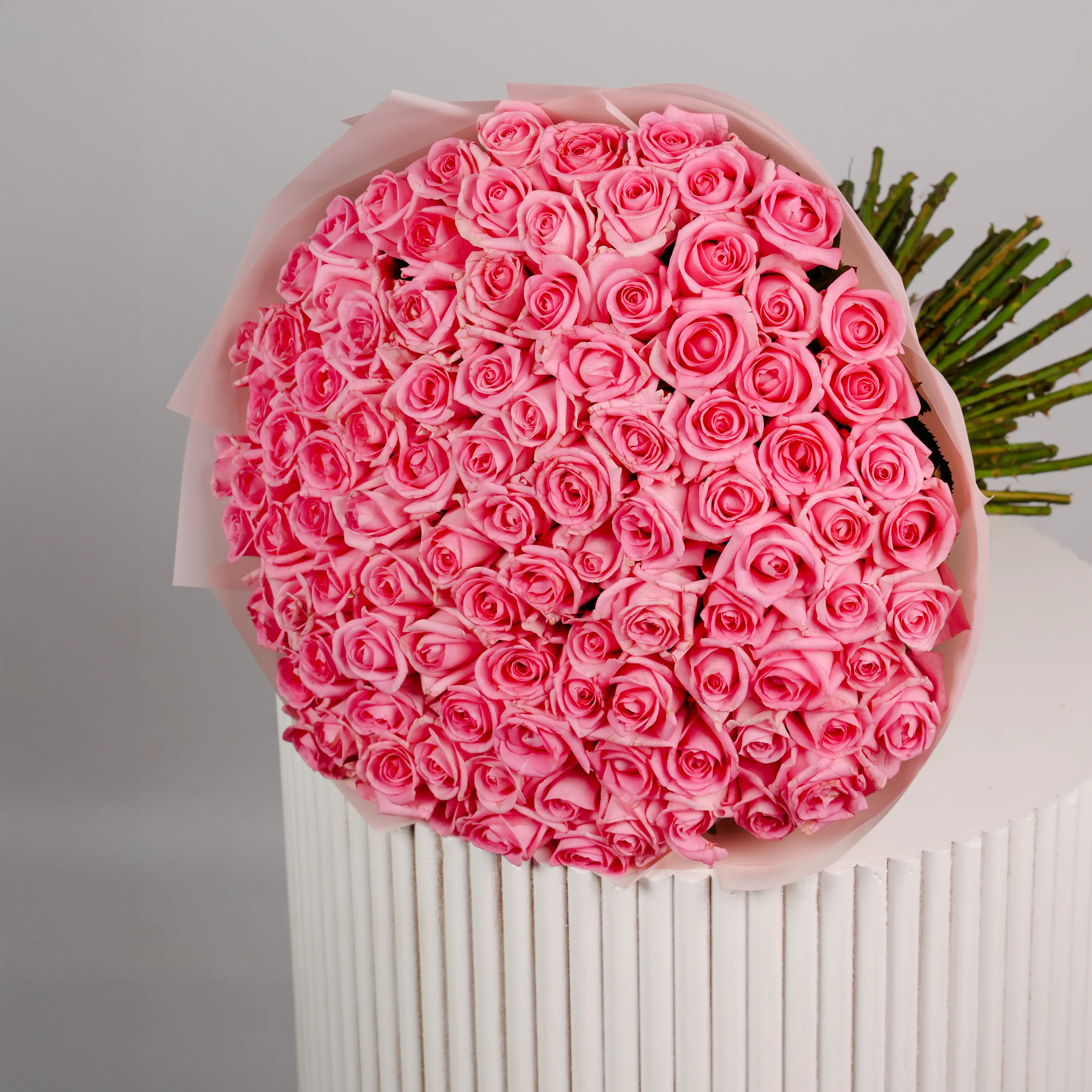 باقة 100 وردة وردية اللون الوردي - الصورة 2