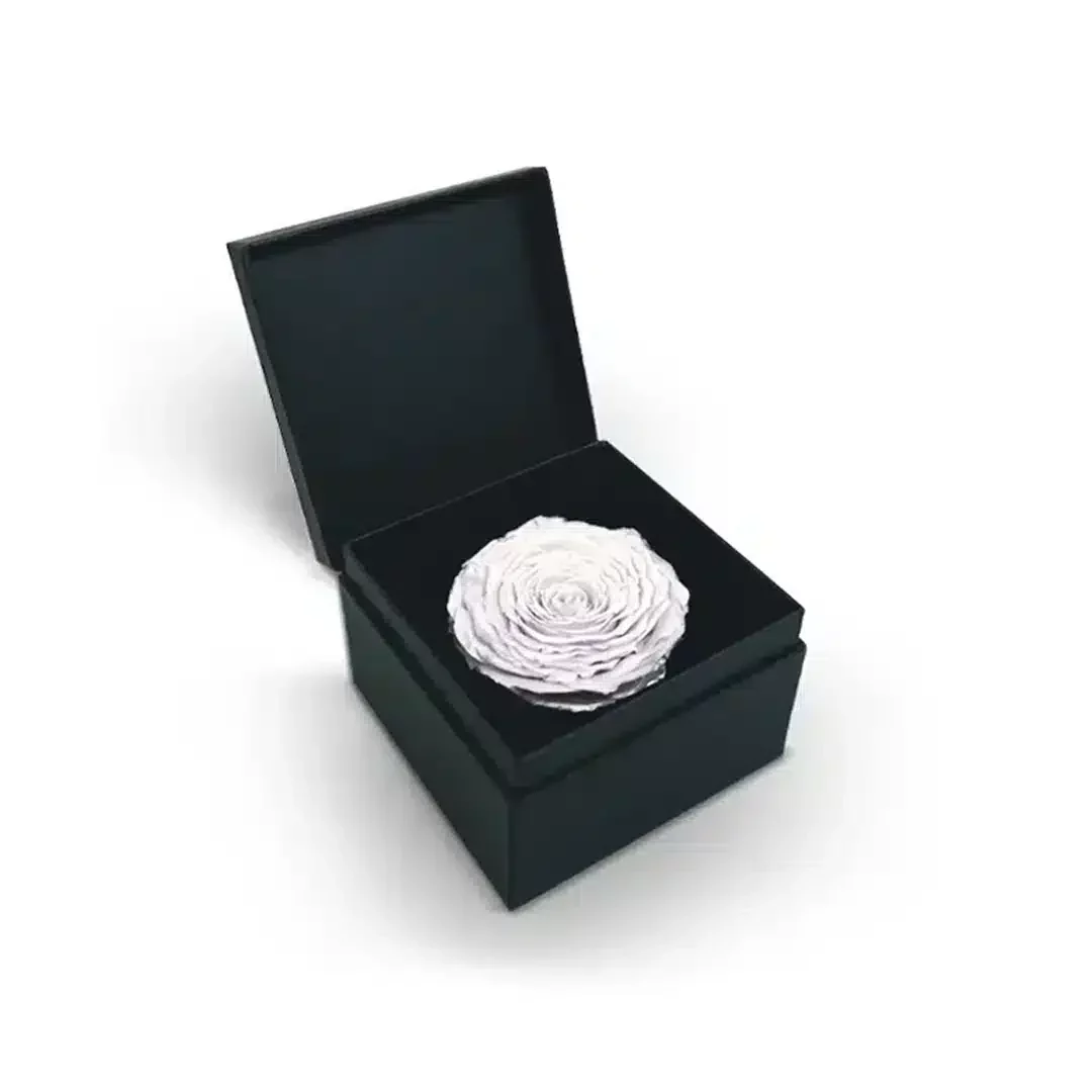 Single White Eternal Rose