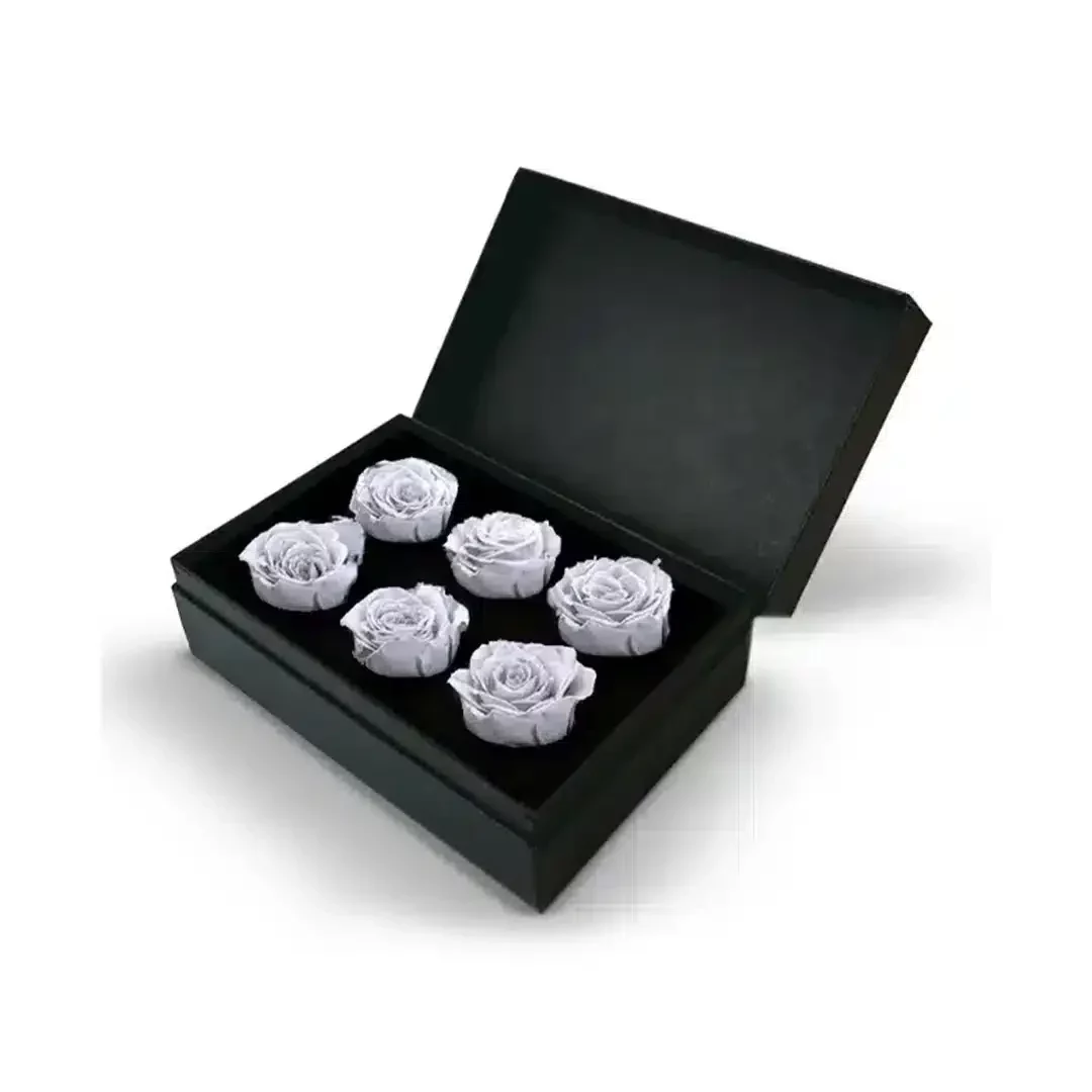 6 White Eternal Roses