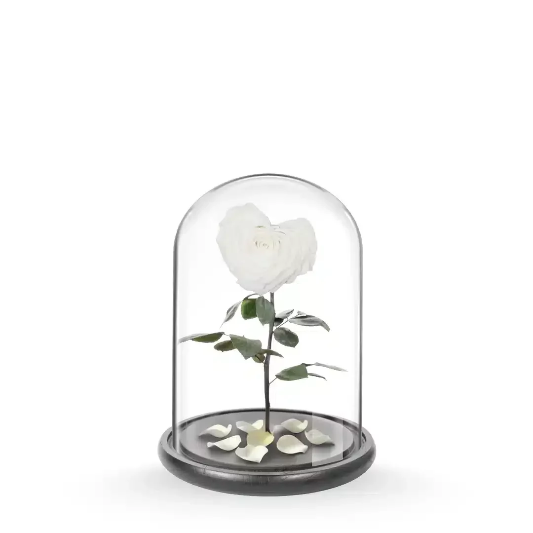 White Heart-Shaped Eternal Rose