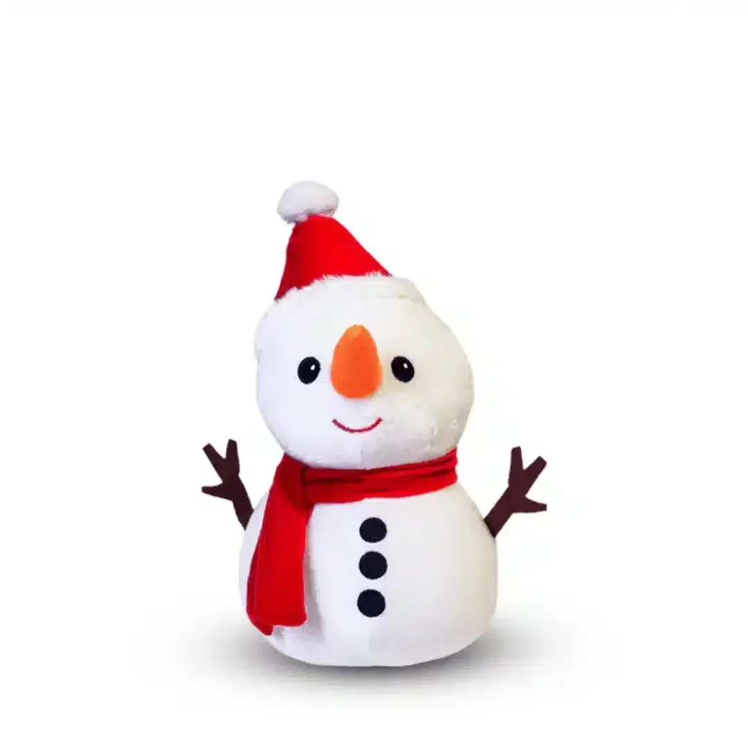 Stuffed Snowman