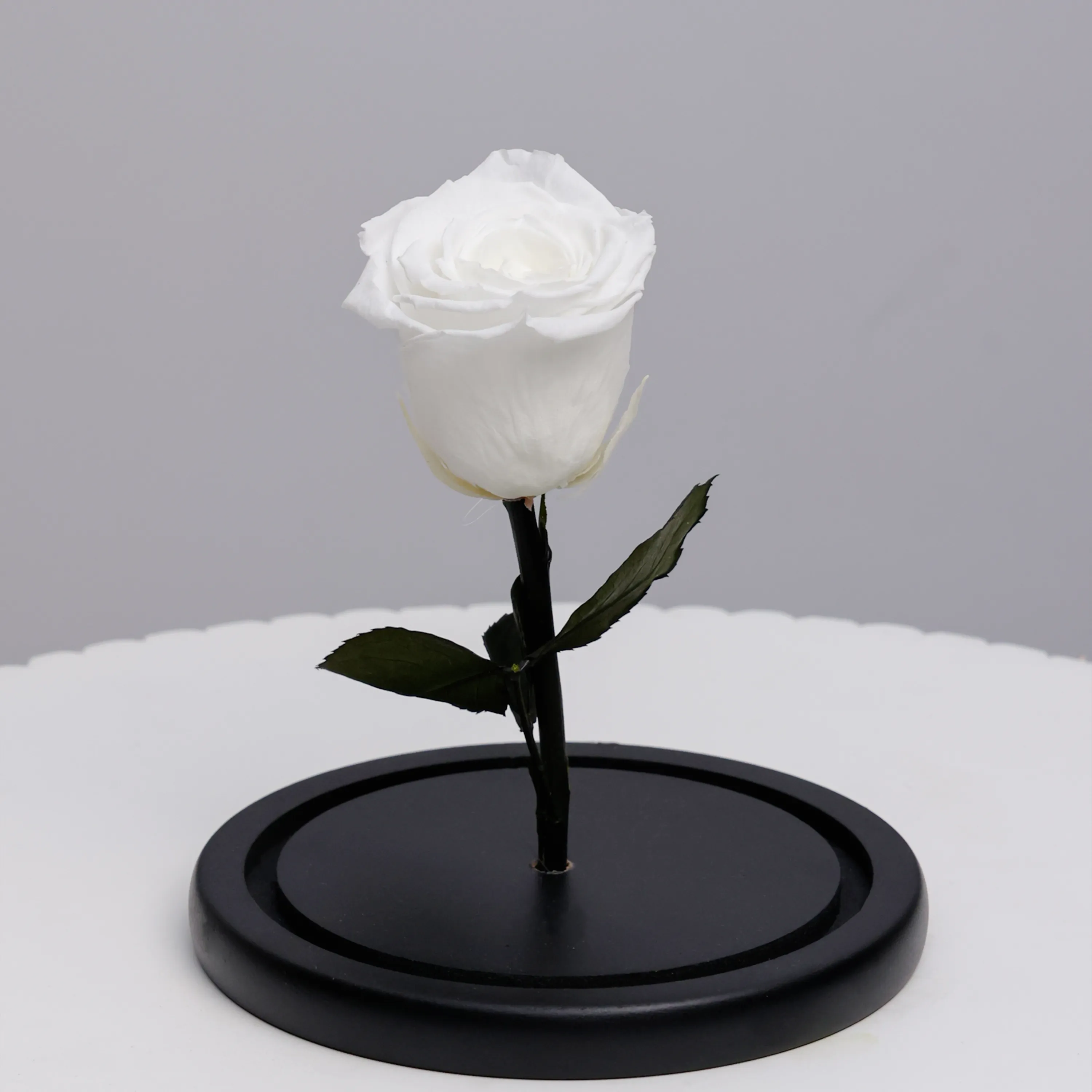 White Eternal Rose - Image 2