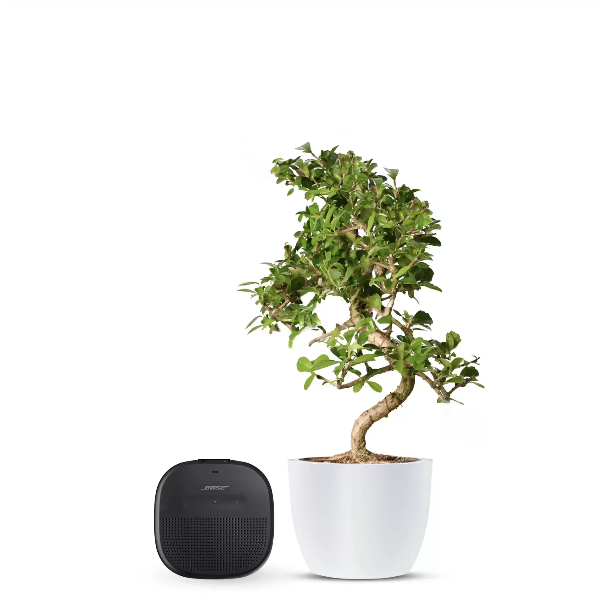 Bose SoundLink Micro Waterproof Bluetooth Speaker – Black