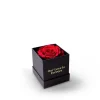 Rose in a box