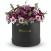 Extra Large Chrysanthemum Box