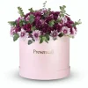 Extra Large Chrysanthemum Box - Image 2