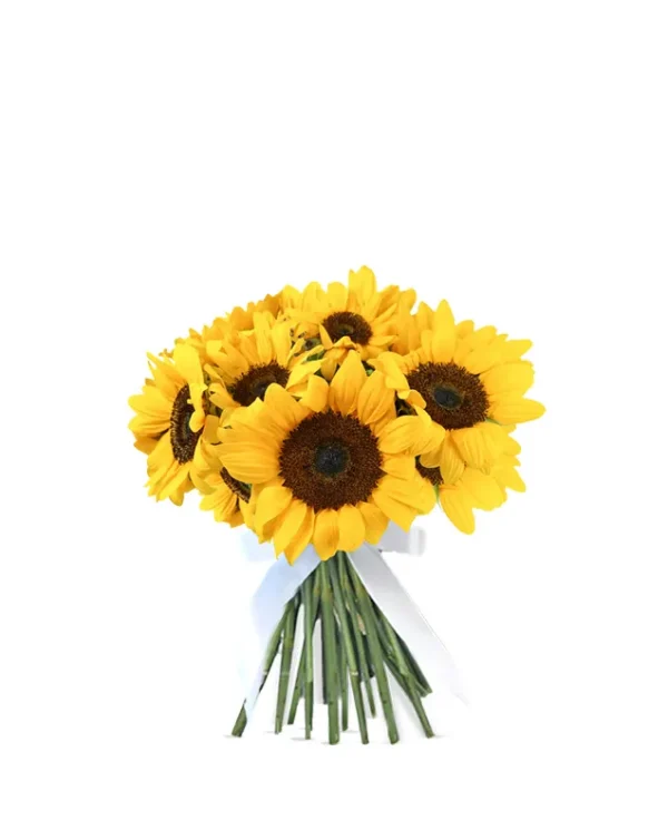 10 sunflower