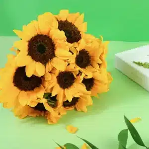 7 sunflower