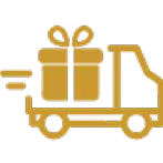 Express Delivery Icon