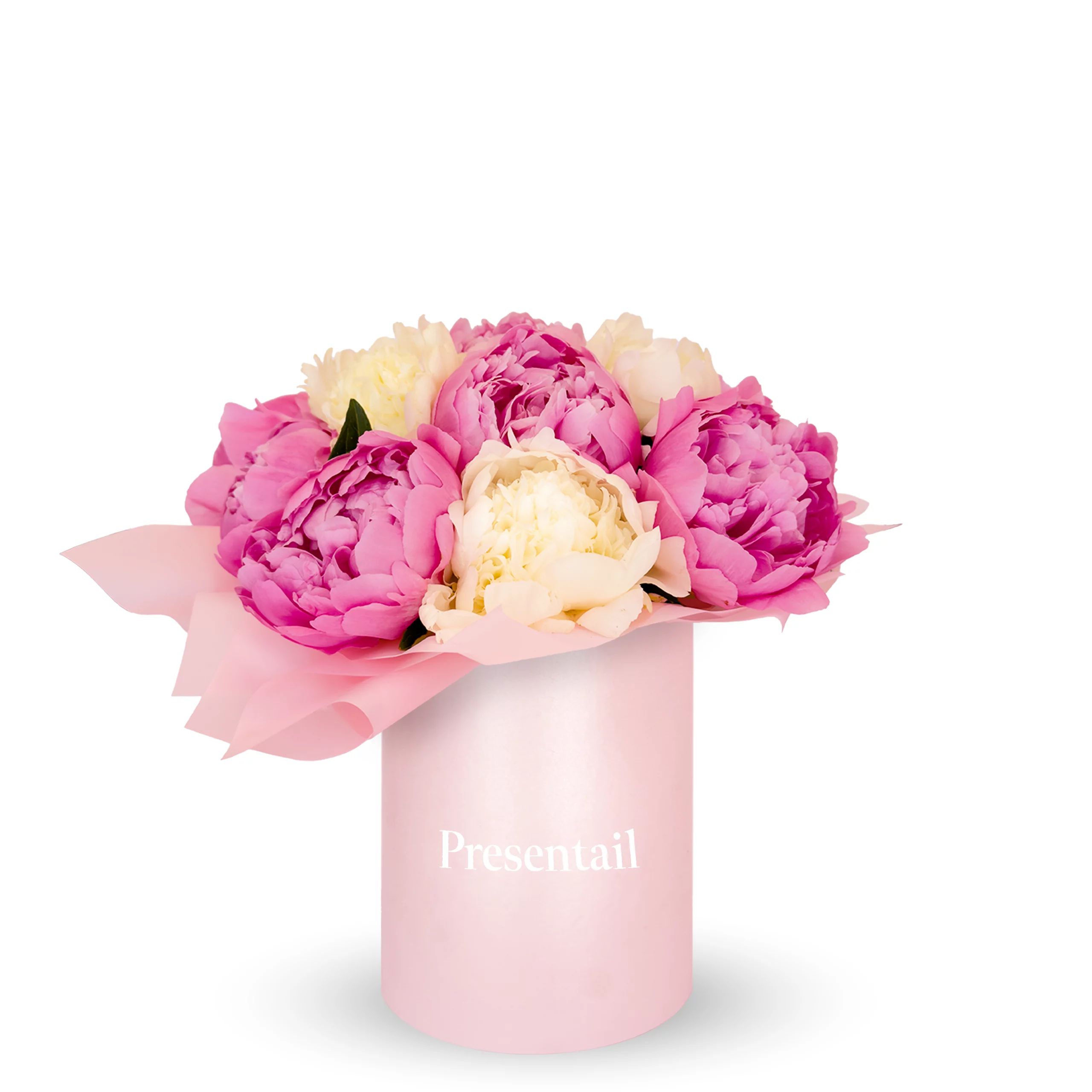 Peonies of Tomorrow